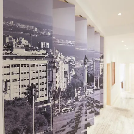Flh Madragoa Flat With Art And Terrace *